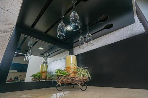 a bathroom with a mirror and a rack with plants at Casa entera Alberca en Acapulco Diamante in Acapulco