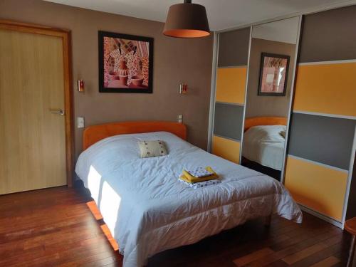 une chambre avec un lit et un miroir dans l'établissement Maison spacieuse avec billard balnéo piano, à Talant