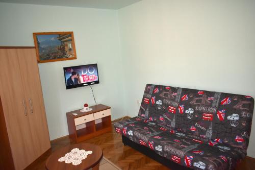 a living room with a couch and a tv at Buba Apartment in Medulin