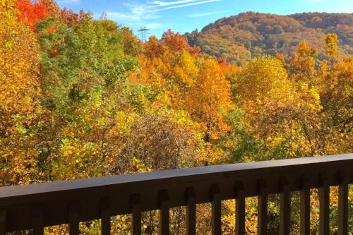 a view of the fall foliage from a bridge at Eagles Nest Escape in Gatlinburg
