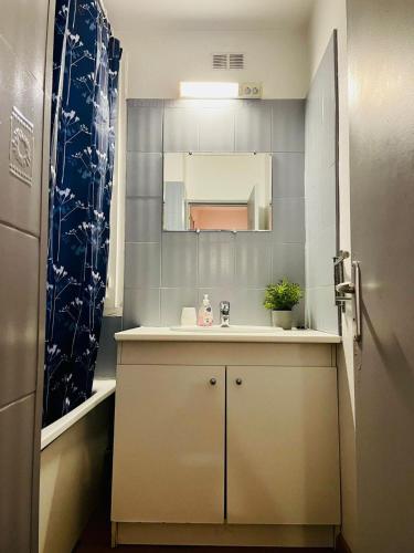 une salle de bain avec un lavabo et un miroir dans l'établissement 50 m2 dans un cadre calme et vert, à Franconville