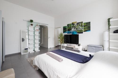 ウィーンにあるModern City Apartment in Viennaの白いベッドルーム(大型ベッド1台、薄型テレビ付)