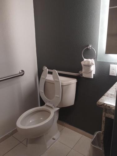 a bathroom with a toilet with the seat up at Quality Inn & Suites Wilsonville in Wilsonville