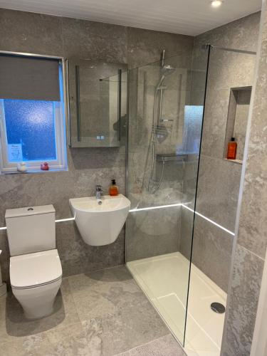 a bathroom with a shower and a toilet and a sink at Keer Side Lodge, Luxury lodge with private hot tub at Pine Lake Resort in Carnforth