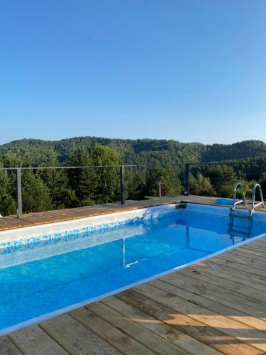 una gran piscina con vistas al bosque en Vila Ivan, en Berovo