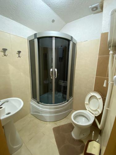 a bathroom with a shower and a toilet and a sink at Vila Ivan in Berovo