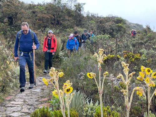 Gäste, die in der Unterkunft Refugio Explora Verde übernachten