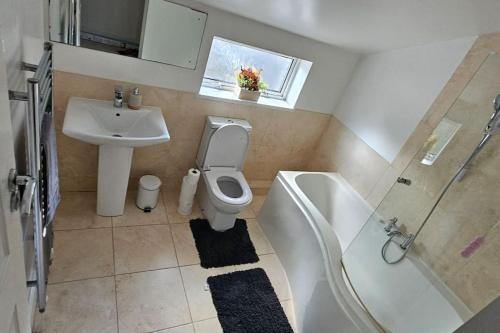 a bathroom with a toilet and a sink and a shower at Alfred House in Ripley