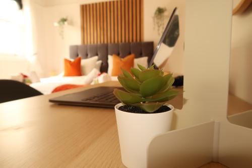 una planta en una olla en un escritorio con un ordenador portátil en Cosy home in London, en Londres