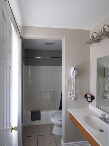 a bathroom with a toilet and a sink and a shower at Bryce Trails Bed and Breakfast in Tropic