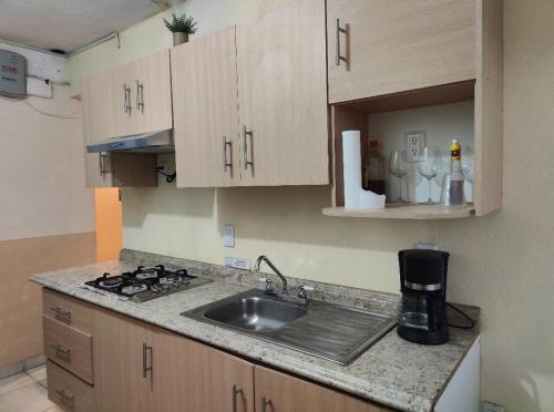 uma cozinha com um lavatório e uma bancada em Suites Pozos Mágico em San Luis de la Paz