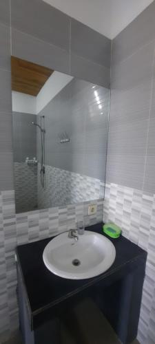 een badkamer met een wastafel, een douche en een spiegel bij Leo Bale Pasti Villa in Blahbatu