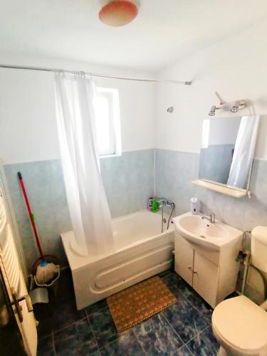 a bathroom with a tub and a toilet and a sink at Apartament Anita in Vulcan