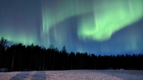 obraz zorzy polarnej na niebie nad polem w obiekcie Glamping Höga Kusten w mieście Undrom