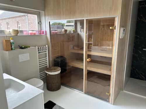 a bathroom with a shower and a toilet and a sink at Vakantie appartement Limburg in Maaseik