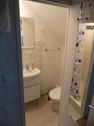 y baño con aseo, lavabo y ducha. en Le clos fleuri - Chambres d'hôtes en Onzain