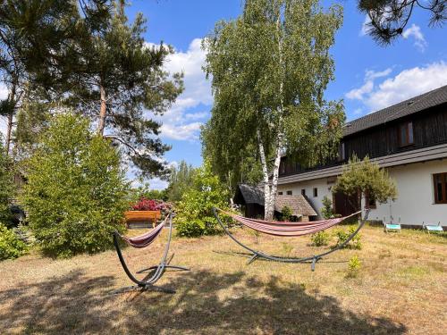 eine Hängematte in einem Hof neben einem Haus in der Unterkunft Dzika Zagroda in Dziemiany