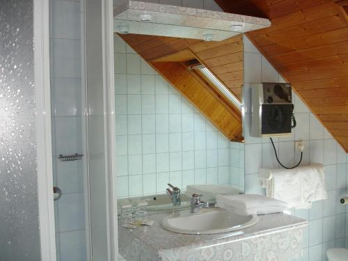 un bagno con lavandino e doccia di Hotel Restaurant Le Capricorne a Pouldreuzic