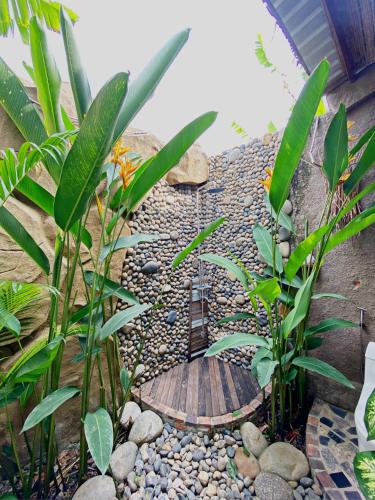 Κήπος έξω από το MEKONG SILT ECOLODGE