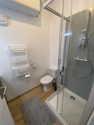 une salle de bain avec douche et toilettes dans l'établissement Studio sur le Port de St Gilles Croix de Vie, à Saint-Gilles-Croix-de-Vie