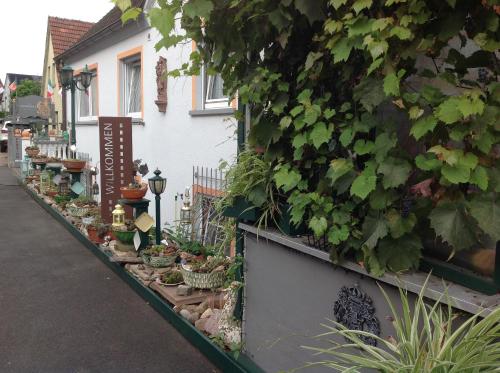 Taman di luar Landpension Villa Dominikus
