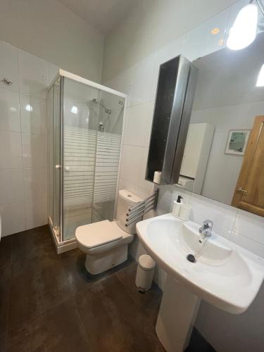 een badkamer met een wastafel, een toilet en een douche bij Espectacular Estudio en Antigua Casa de Correos in Molina de Aragón