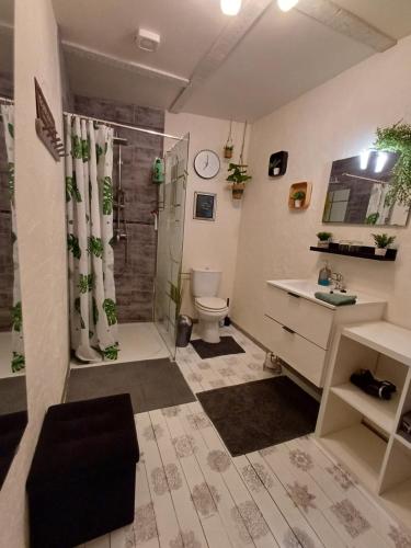 La salle de bains est pourvue d'une douche, de toilettes et d'un lavabo. dans l'établissement Les Gabelous - chambre d'hôtes - Viroinval, à Dourbes