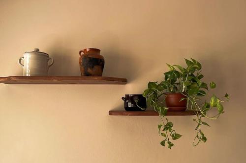 two wooden shelves with plants on a wall at Maison Li Signuri in Maglie