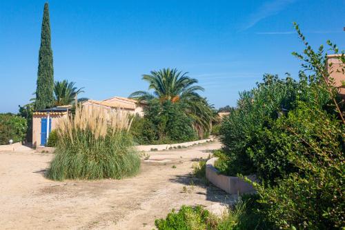 a dirt road with palm trees and a building at Résidence Padro in Calvi