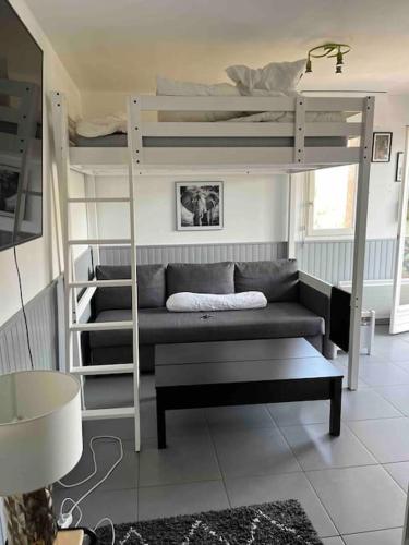 a room with a bunk bed with a couch and a ladder at Studio Bayonne avec balcon in Bayonne