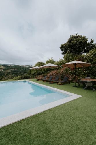 a swimming pool with chairs and umbrellas on the grass at Casa de Greire in Castelo de Paiva