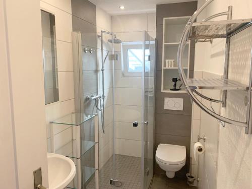 a bathroom with a toilet and a glass shower at Sunny Freudenstadt in Freudenstadt
