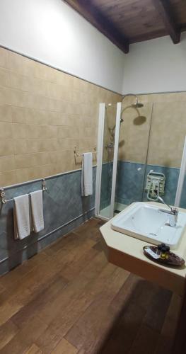 Bilik mandi di Apartamentos Trinidad