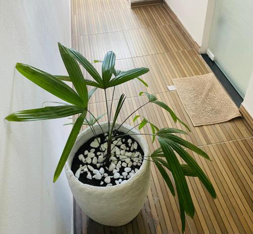 a plant in a white pot on a wooden floor at NOVO APARTAMENTO Liz 3 in Porto Seguro