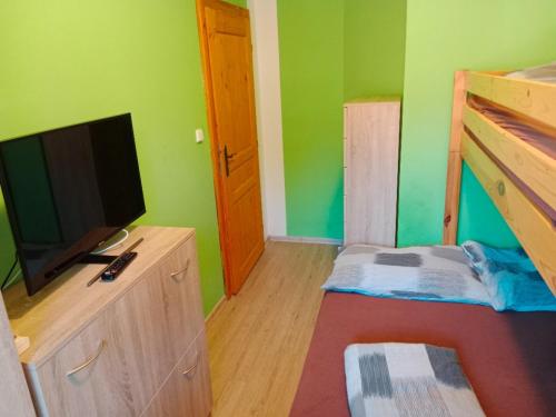 1 dormitorio con paredes verdes y TV de pantalla plana en Wellness Penzion Eva en Dolní Moravice
