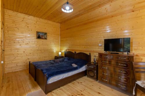 a bedroom with a bed and a flat screen tv at Cosy Kvara77 in Zugdidi