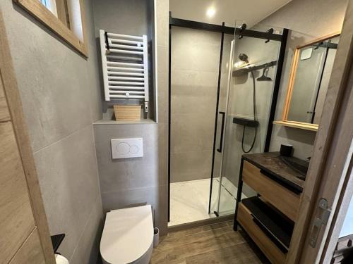 une petite salle de bain avec douche et toilettes dans l'établissement La Montagne 2 ALPES 12 pers standing skis au pied, à Les Deux Alpes