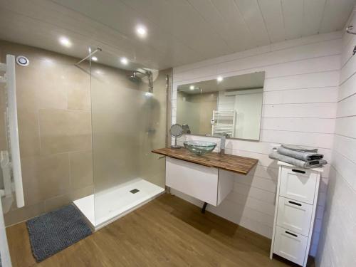 ein Bad mit einer Dusche, einem Waschbecken und einem Spiegel in der Unterkunft Cottage viva la vida in Auzon
