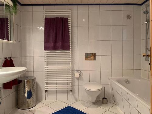 La salle de bains est pourvue de toilettes, d'une baignoire et d'un lavabo. dans l'établissement Ferienbauernhof-Holops, à Sankt Georgen im Schwarzwald