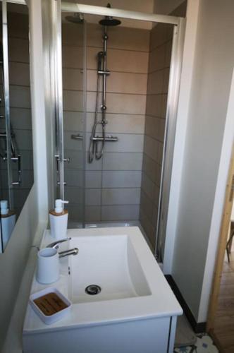 La salle de bains est pourvue d'une grande baignoire et d'une douche. dans l'établissement T1 - Studio confortable Wissant, à Wissant