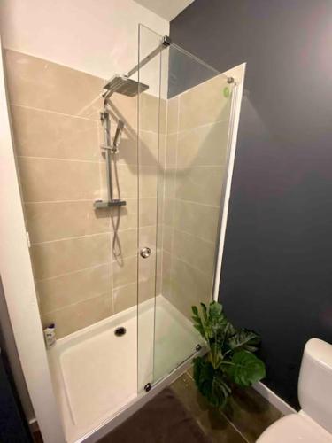 La salle de bains est pourvue d'une douche en verre et de toilettes. dans l'établissement Centre de Vichy avec terrasse, à Vichy