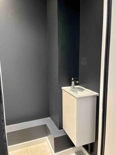 une salle de bain avec des toilettes blanches et un lavabo dans l'établissement Appartement 40m2 centre de Vichy, à Vichy