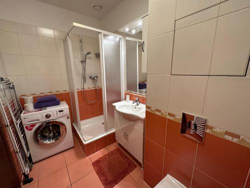 Ванна кімната в Apartment Julia in the center of Karlovy Vary
