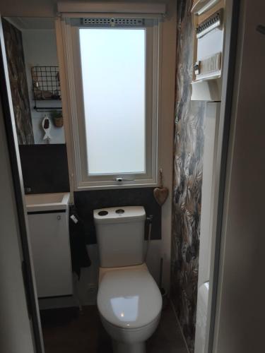 a small bathroom with a toilet and a window at Chalet Zeewind in Oostkapelle
