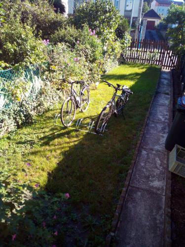 - deux vélos garés sur l'herbe dans une cour dans l'établissement L'OASIS maisonnette centre ville 3 chambres terrasse espace vert privé parc sainte croix center parc 20 minutes, à Sarrebourg