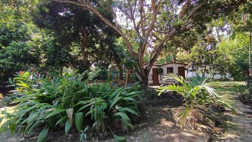 un jardín con una casa en el fondo en Finca Hotel La Estancia, en Santa Fe de Antioquia