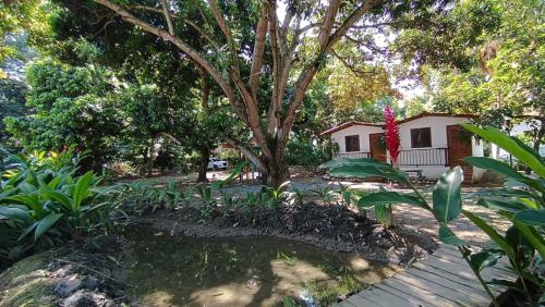 un jardín con un árbol y una casa en Finca Hotel La Estancia, en Santa Fe de Antioquia