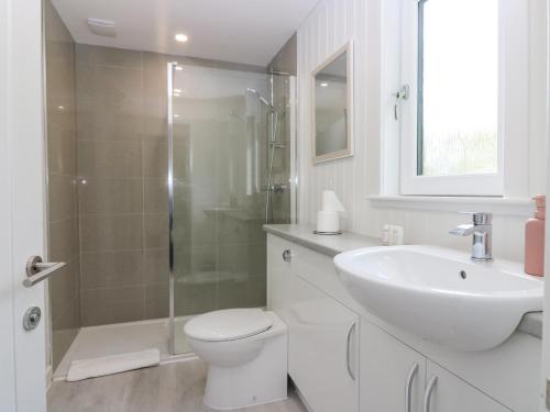 ein Bad mit einem WC, einem Waschbecken und einer Dusche in der Unterkunft Lodge 14 - The Tay Family in Perth