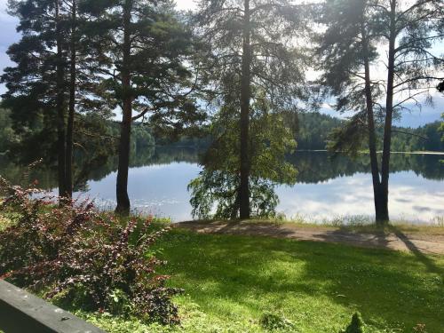 a view of the lake from the house at Rauhallinen kaksio Urpolassa in Mikkeli