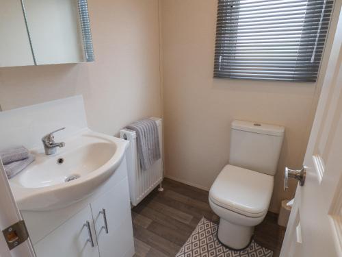 a bathroom with a white toilet and a sink at Woody Ray in Bridlington
